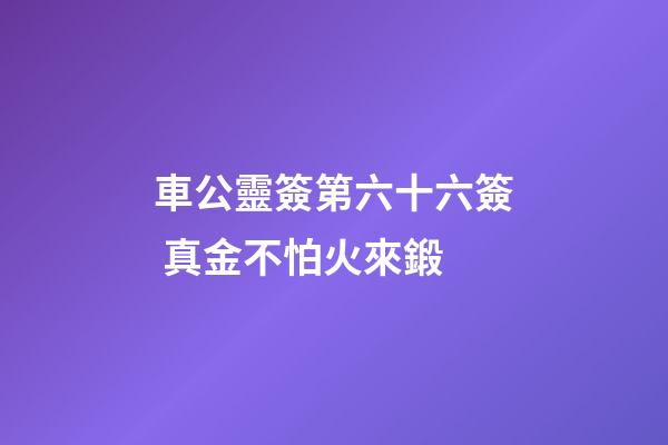 車公靈簽第六十六簽 真金不怕火來鍛